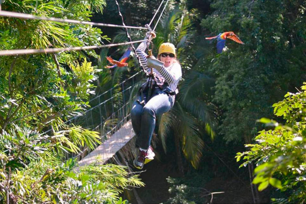 Canopy
